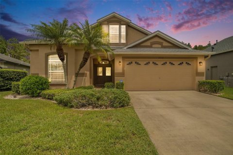 Villa ou maison à Wesley Chapel, Floride 5 chambres, 227.52 m2 № 2341685