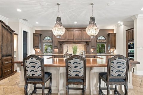 House in Tampa, Florida 5 bedrooms, 727.24 sq.m. № 2396643 - photo 26