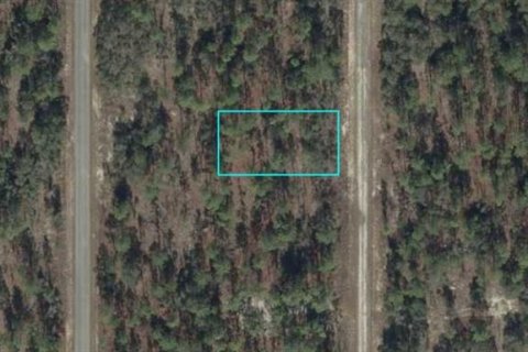 Land in Dunnellon, Florida № 2160758 - photo 2