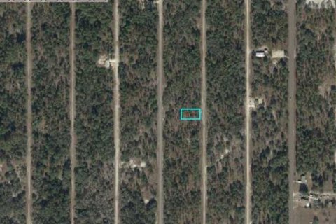 Land in Dunnellon, Florida № 2160758 - photo 3
