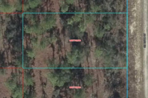 Land in Dunnellon, Florida № 2160758