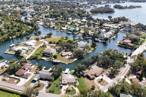 House in Crystal River, Florida 3 bedrooms, 227.98 sq.m. № 1421936 - photo 5