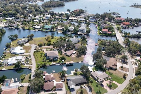 House in Crystal River, Florida 3 bedrooms, 227.98 sq.m. № 1421936 - photo 24