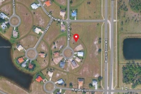 Land in Punta Gorda, Florida № 2026140 - photo 4