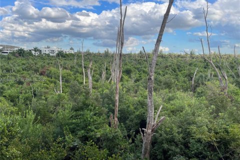 Снять в аренду кондоминиум в Дорал, Флорида 2 спальни, 105.35м2, № 1990660 - фото 19