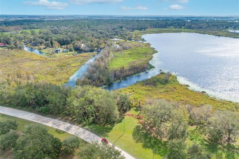 Land in Wesley Chapel, Florida № 1554095 - photo 7