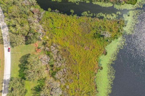 Land in Wesley Chapel, Florida № 1554095 - photo 15