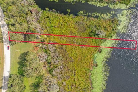Land in Wesley Chapel, Florida № 1554095 - photo 1
