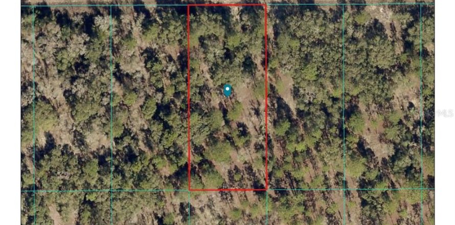 Terrain à Dunnellon, Floride № 2198596