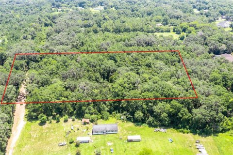 Land in Newberry, Florida № 1866703 - photo 5