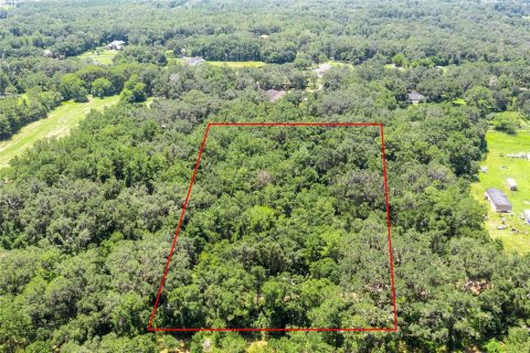 Land in Newberry, Florida № 1866703 - photo 4