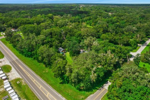 Immobilier commercial à vendre à Brooksville, Floride: 74.88 m2 № 1150498 - photo 24