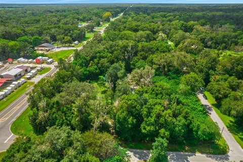 Immobilier commercial à vendre à Brooksville, Floride: 74.88 m2 № 1150498 - photo 2