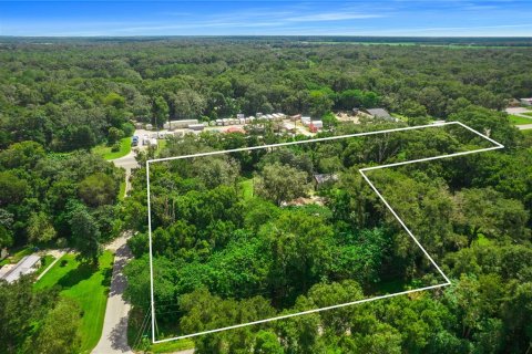 Immobilier commercial à vendre à Brooksville, Floride: 74.88 m2 № 1150498 - photo 27