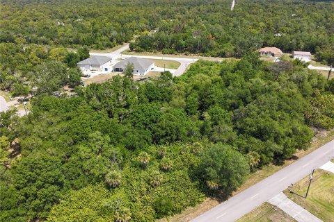 Land in Port Charlotte, Florida № 2160794 - photo 3