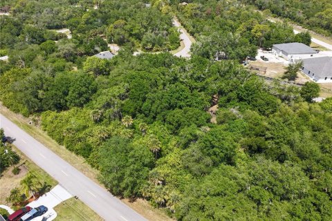 Land in Port Charlotte, Florida № 2160794 - photo 11