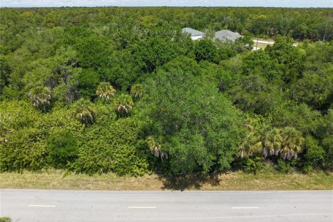 Land in Port Charlotte, Florida № 2160794 - photo 9