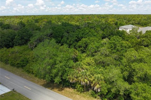 Land in Port Charlotte, Florida № 2160794 - photo 7
