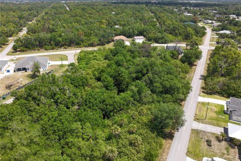 Land in Port Charlotte, Florida № 2160794 - photo 6