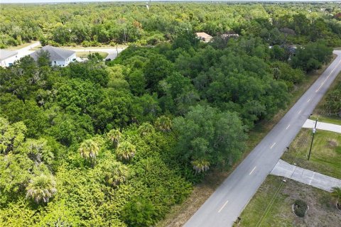 Land in Port Charlotte, Florida № 2160794 - photo 4
