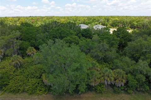Land in Port Charlotte, Florida № 2160794 - photo 8