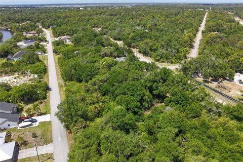 Land in Port Charlotte, Florida № 2160794 - photo 12