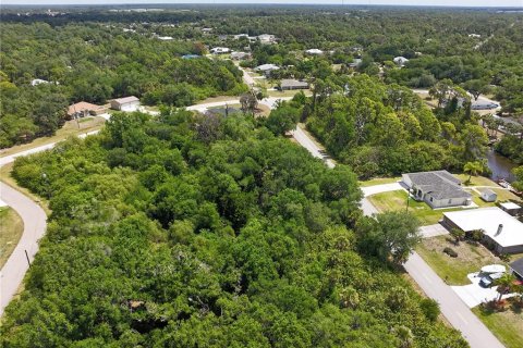 Land in Port Charlotte, Florida № 2160794 - photo 5