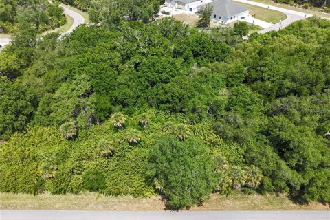 Land in Port Charlotte, Florida № 2160794 - photo 10