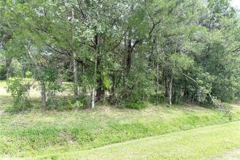 Terreno en venta en Orlando, Florida № 1826874 - foto 6