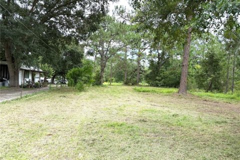 Terreno en venta en Orlando, Florida № 1826874 - foto 5