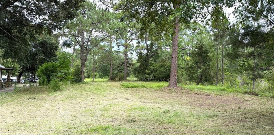 Land in Orlando, Florida № 1826874