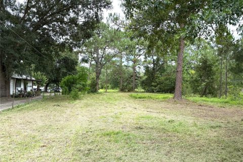 Terreno en venta en Orlando, Florida № 1826874 - foto 3