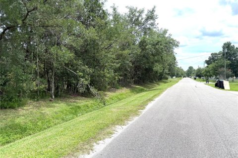 Terreno en venta en Orlando, Florida № 1826874 - foto 4