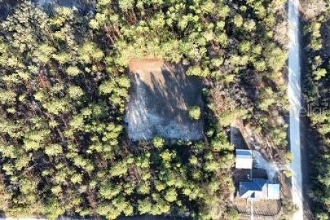 Terreno en Ocala, Florida № 2098520
