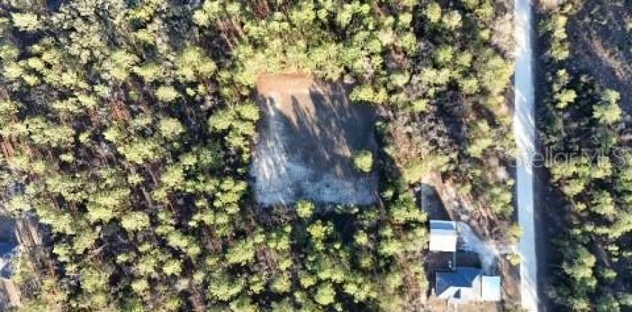 Terreno en Ocala, Florida № 2098520