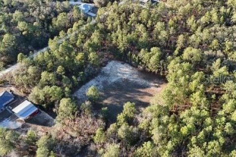 Terreno en venta en Ocala, Florida № 2098520 - foto 2