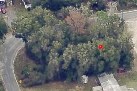 Land in Citra, Florida № 2238564