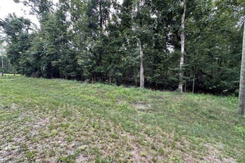 Terreno en venta en Fort White, Florida № 1884174 - foto 4