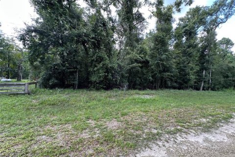 Terreno en venta en Fort White, Florida № 1884174 - foto 5