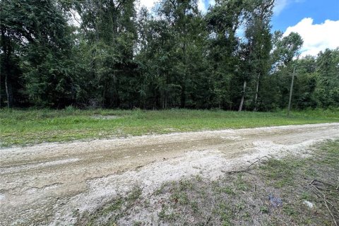 Terreno en venta en Fort White, Florida № 1884174 - foto 2