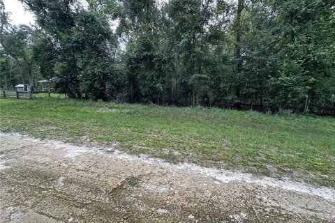 Terreno en venta en Fort White, Florida № 1884174 - foto 3