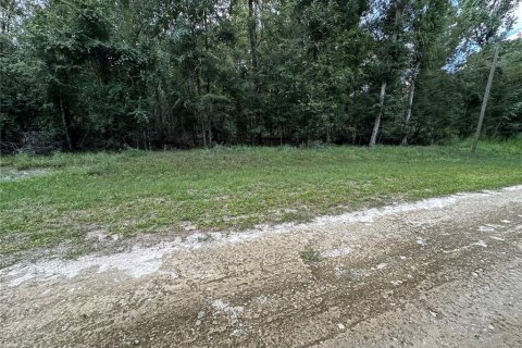 Terreno en venta en Fort White, Florida № 1884174 - foto 6