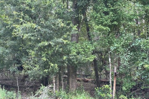 Terreno en venta en Fort White, Florida № 1884174 - foto 1