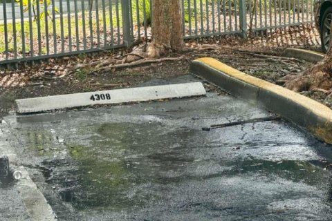 Copropriété à louer à Miami, Floride: 2 chambres, 80.45 m2 № 1954934 - photo 19