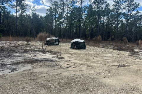 Terreno en venta en Dunnellon, Florida № 2159353 - foto 7