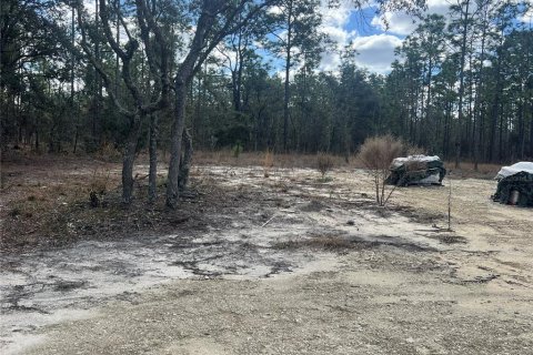 Terreno en venta en Dunnellon, Florida № 2159353 - foto 8