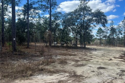 Terreno en venta en Dunnellon, Florida № 2159353 - foto 10