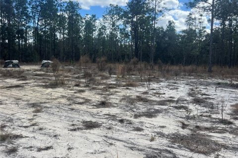 Terreno en venta en Dunnellon, Florida № 2159353 - foto 3