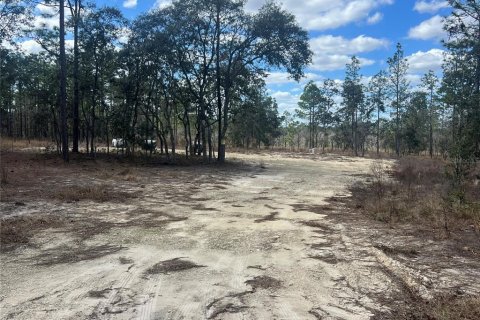Terreno en venta en Dunnellon, Florida № 2159353 - foto 9