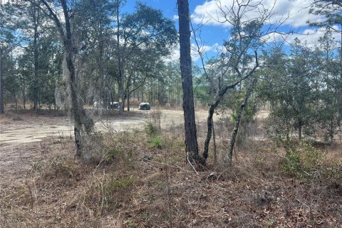 Terreno en venta en Dunnellon, Florida № 2159353 - foto 13